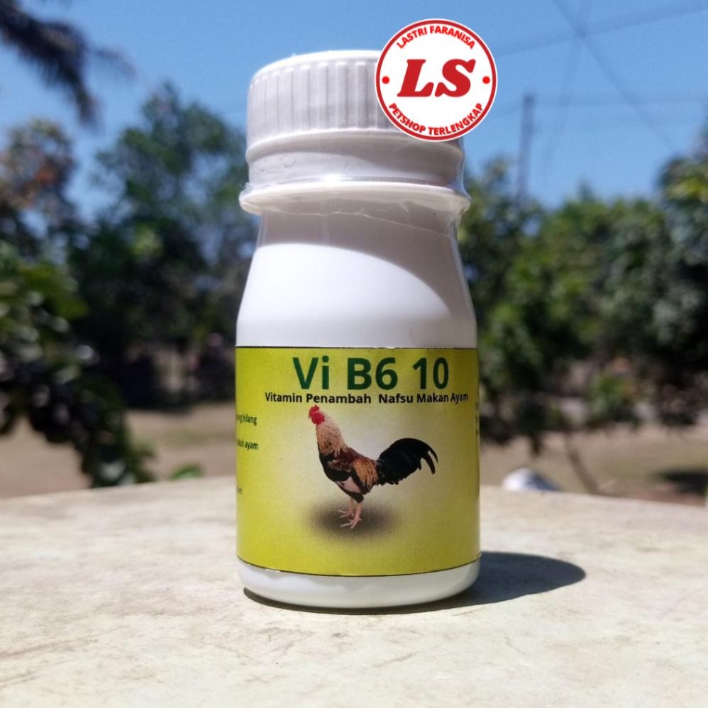 Obat Nafsu Makan Ayam Bangkok B6 isi 50 Butir Nafsu Makan Ayam Botol Vitamin Nafsu Makan Ayam