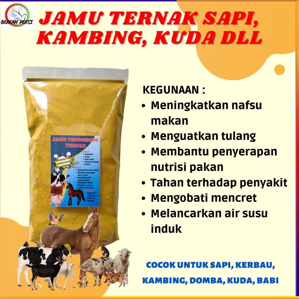 JAMU PENGGEMUK TERNAK SAPI KAMBING ANTIVIRUS CEGAH PMK FLU MENINGKATKAN DAYATAHAN TUBUH NAFSU MAKAN 