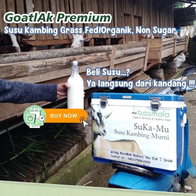 

(Expert) Basmala Farm - GoatlAk Premium Susu Kambing Etawa Tanpa Gula Tambahan Susu Organik Non Sugar BPOM