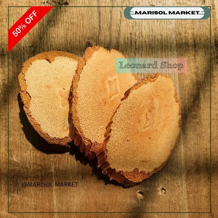 

TONGKAT ALI BAJAKAH MERAH / KUNING SUPER OBAT KANKER DAN STAMINA PRIA GRATIS ONGKIR