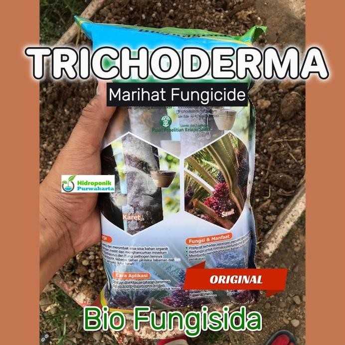 fresh TRICHODERMA 1 Kg Fungisida Organik MARFU P Trikoderma Tricoderma