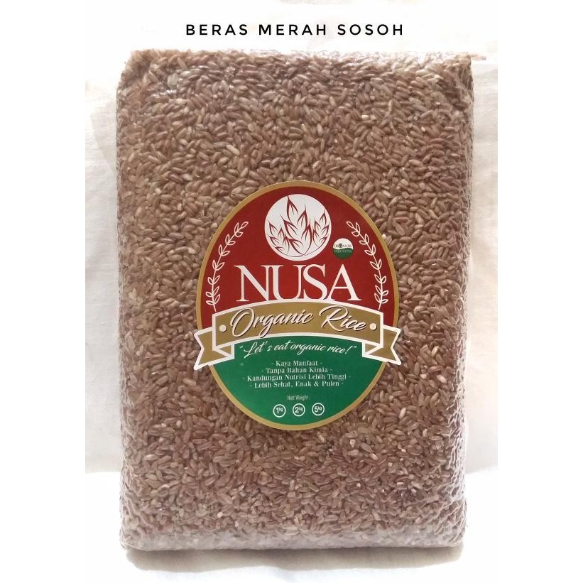 

Beras Merah Organik Kualitas Ekspor (Bersertifikat)