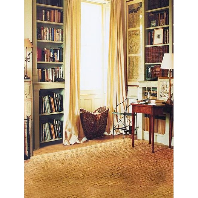 Background Photo Graduation Wisuda Studio Yellow Best Seller