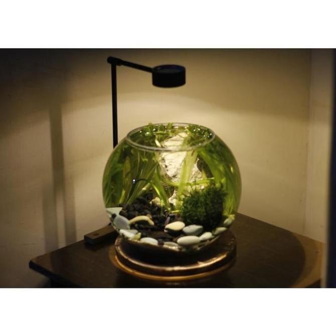 ., Lampu Aquarium Dlx / Lampu Aquarium Bowl / Lampu Aquarium Bulat