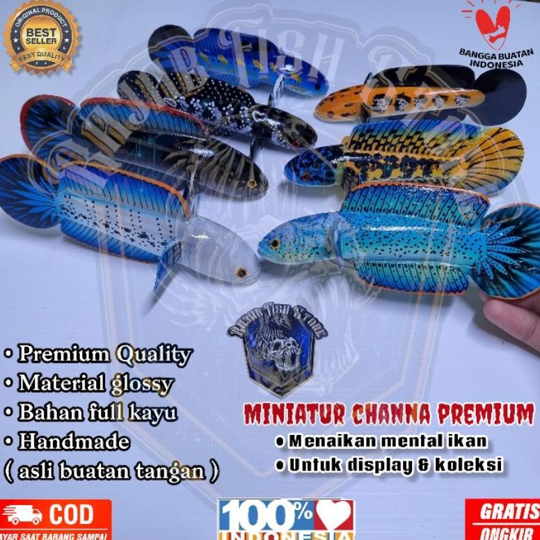 Patung channa premium  / miniatur cana barca, pulcra, sterwarti, limbata AST