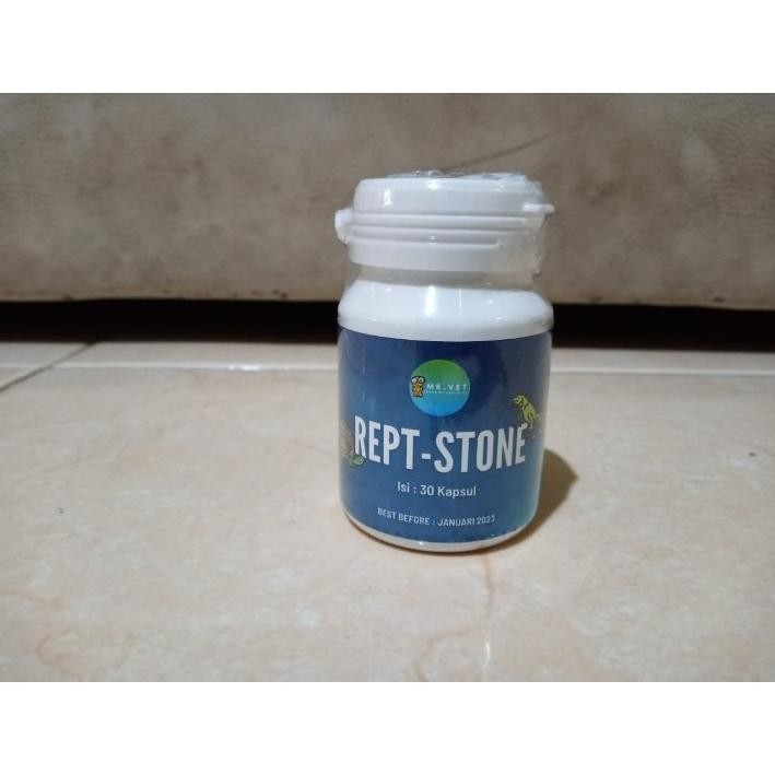 Rept Stone - obat bladder stone (BS) kura kura / reptile AST