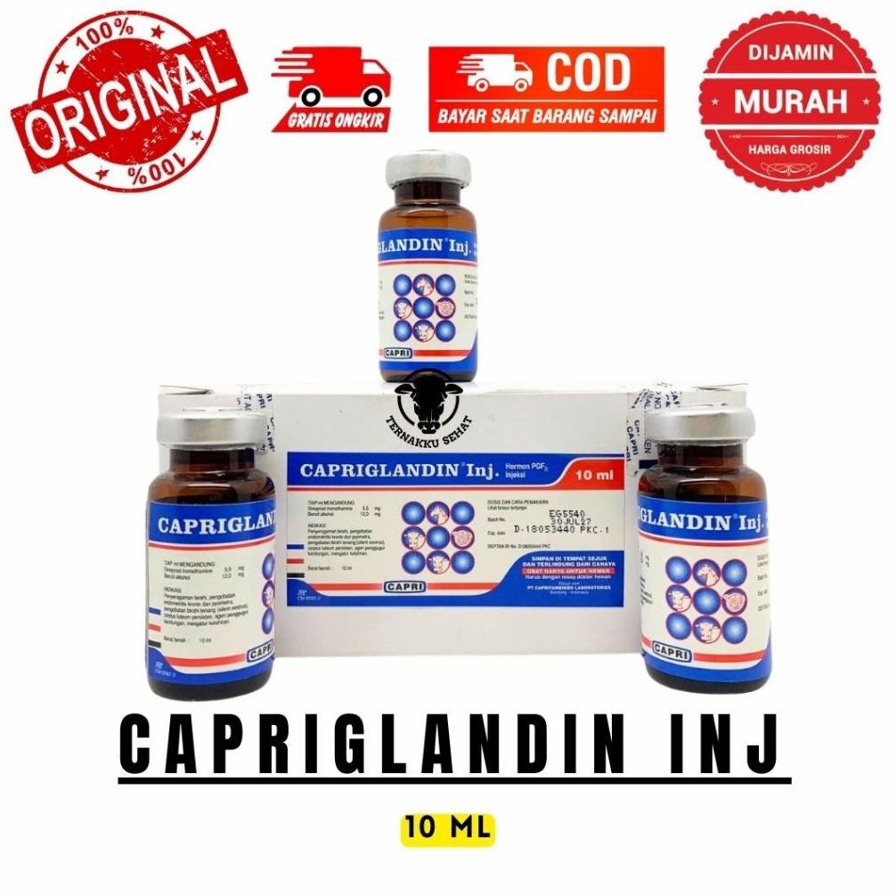 TERLARIS CAPRIGLANDIN INJ 10 ml - Obat Birahi Hewan, Hormon Sinkronisasi Estrus Sapi Kambing Domba K