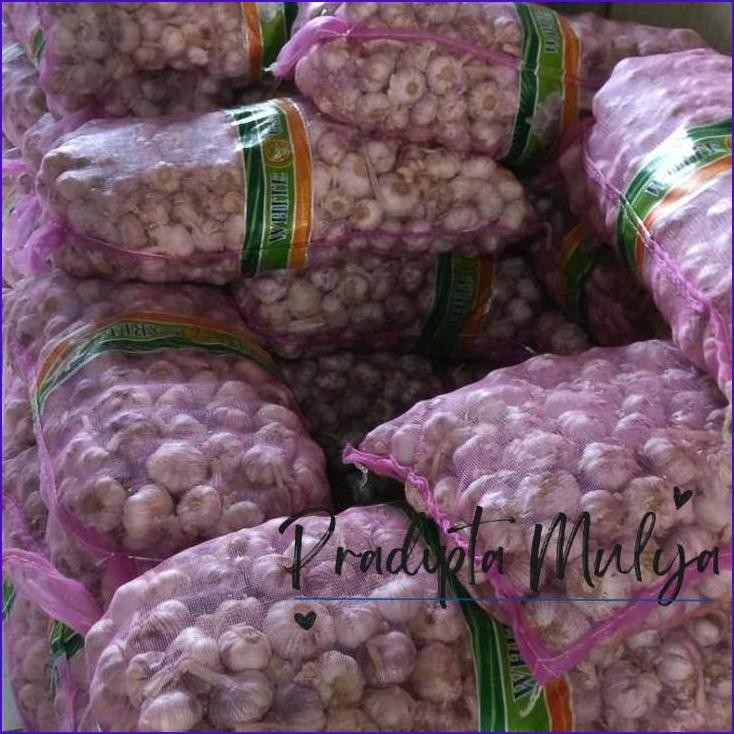 

Paling Murah.! Bawang Putih Honan Honam Banci Bersih 1Kg/1000Gr