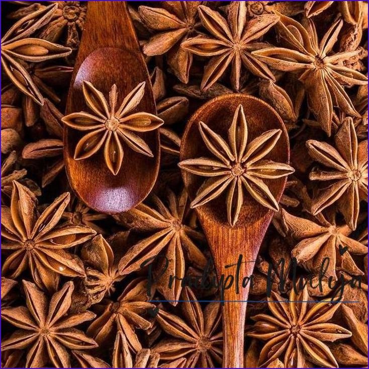 

Masih Ready Bunga Lawang / Peka / Star Anise