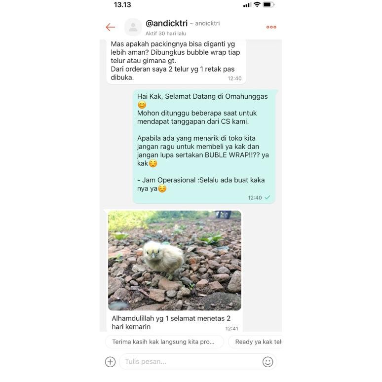 

TELUR FERTIL AYAM HIAS SILKY AYAM KAPAS UNTUK DI TETASKAN