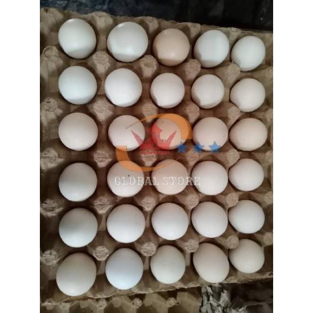 

READY STOCK TELUR AYAM NEGERI / HORN PER KG BANDUNG