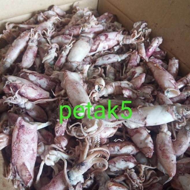 

Cumi Asin Cendol10Kg