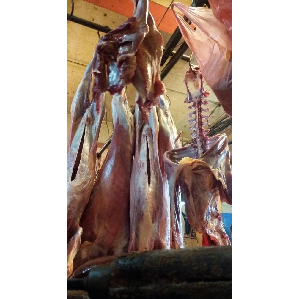 

Kambing Muda 8Kg