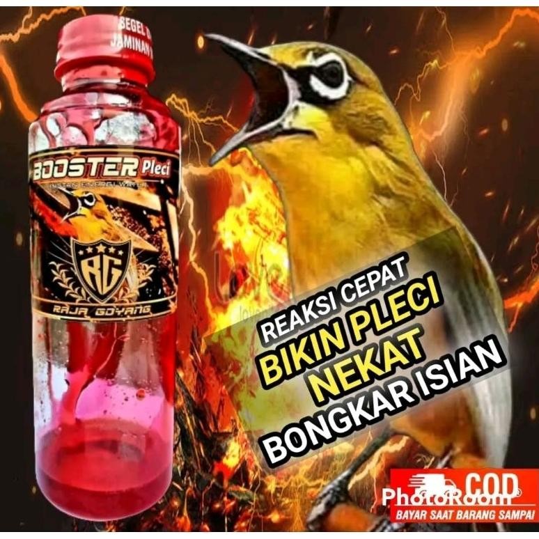 DOPING PLECI/BOOSTER PLECI/SIRUP PLECI/MINUMAN BURUNG PLECI BOOSTER PLECI /DOPING PLECI/SUPLEMEN PLE