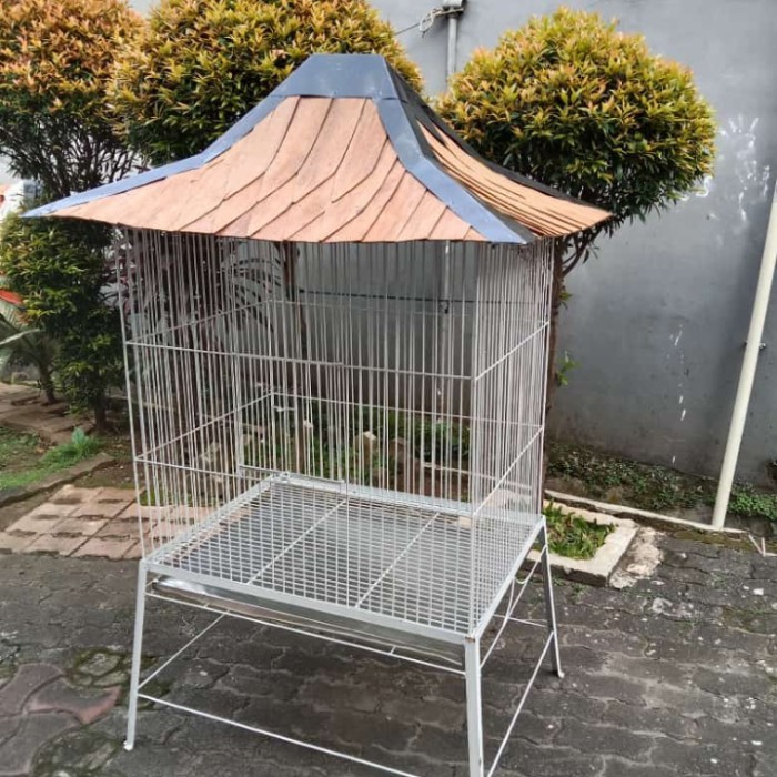 TERBARU kandang burung kakatua. ayam ketawa. Ayam cemani,ayam bekisar,dll PROMO