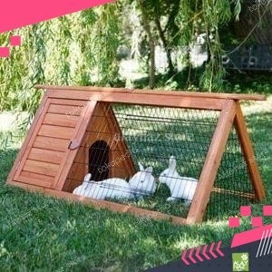 HOT SALE rumah/kandang kelinci antik