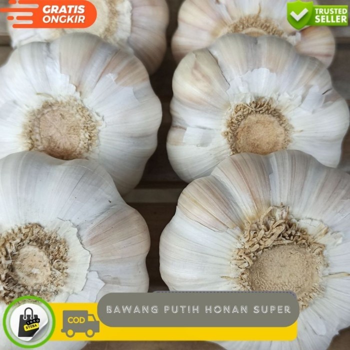 

TERLARIS 1KG BAWANG PUTIH HONAN SUPER MURAH!!! MURAH