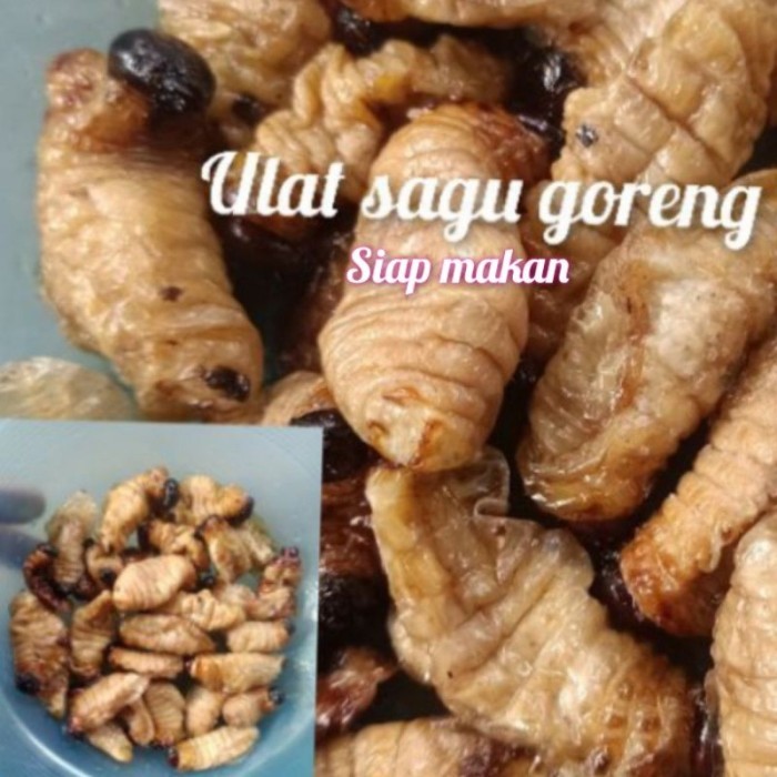 

(0_0) jual ulat sagu goreng siap saji per 25 ("_")