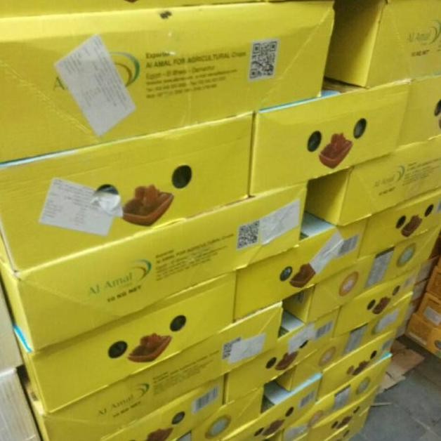 

KURMA MADU MESIR 10KG/ kurma madu mesir