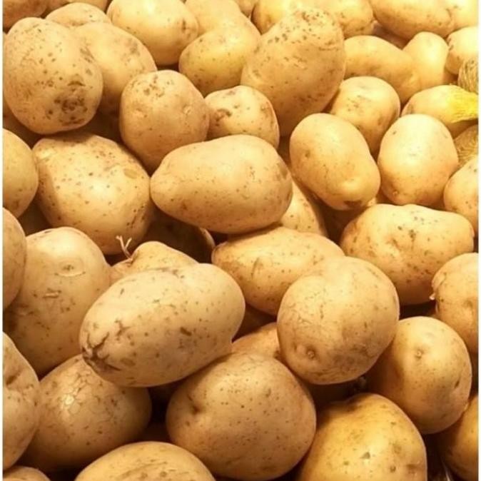 

Kentang Dieng Fresh Jumbo Original