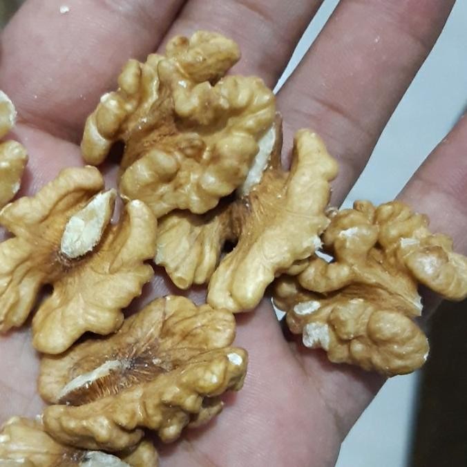 

BIG SALE KACANG WALNUT SUPER 1KG !!!!!