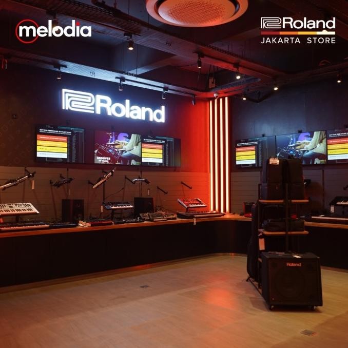 Grosir Boss Ve-8 Acoustic Singer