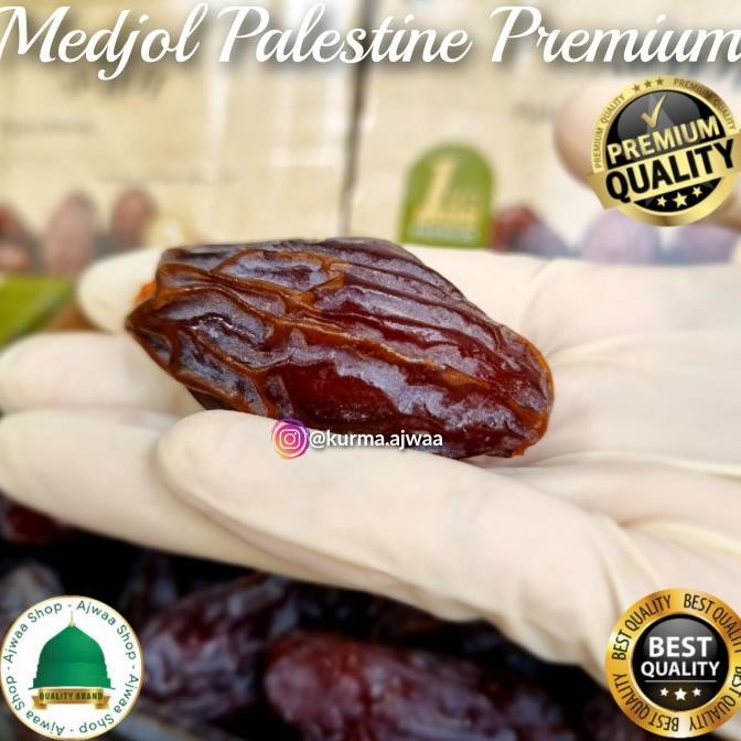 

Kurma Medjol Palestine Rayansani376