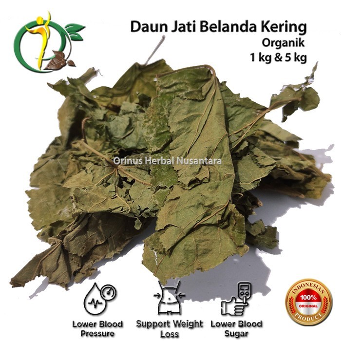 

5 kg Daun Jati Belanda Guazuma ulmifolia Lamk Grade A Murni Curah