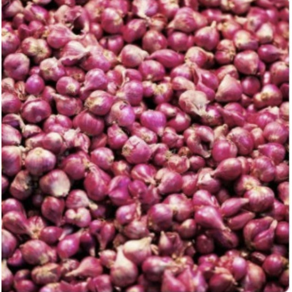 

Promo Bawang Merah Kecil 500 Gr Best Seller