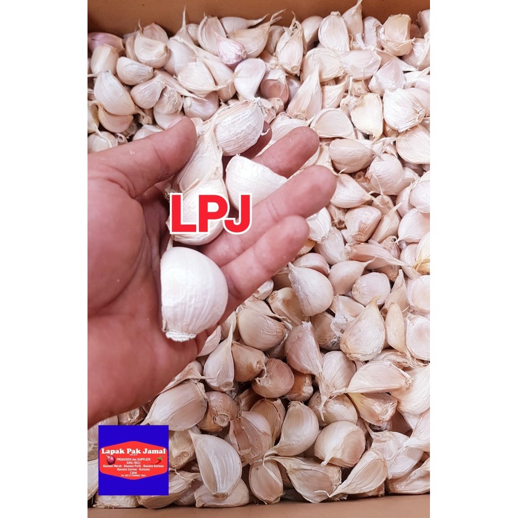 

Promo Bawang Putih Kating - 1 Kg - Lpj Best Seller