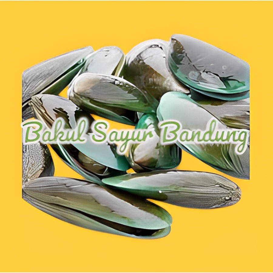 Kerang Ijo 1kg Bakul Sayur Murah Bandung
