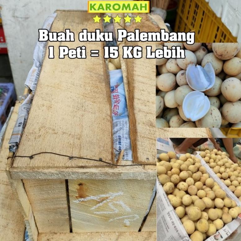 BUAH DUKU PALEMBANG 1 PETI / BUAH DUKU 1 PETI 13 KG LEBIH / Buah duku 1 Kranjang / 1 krat Utuh SEGEL