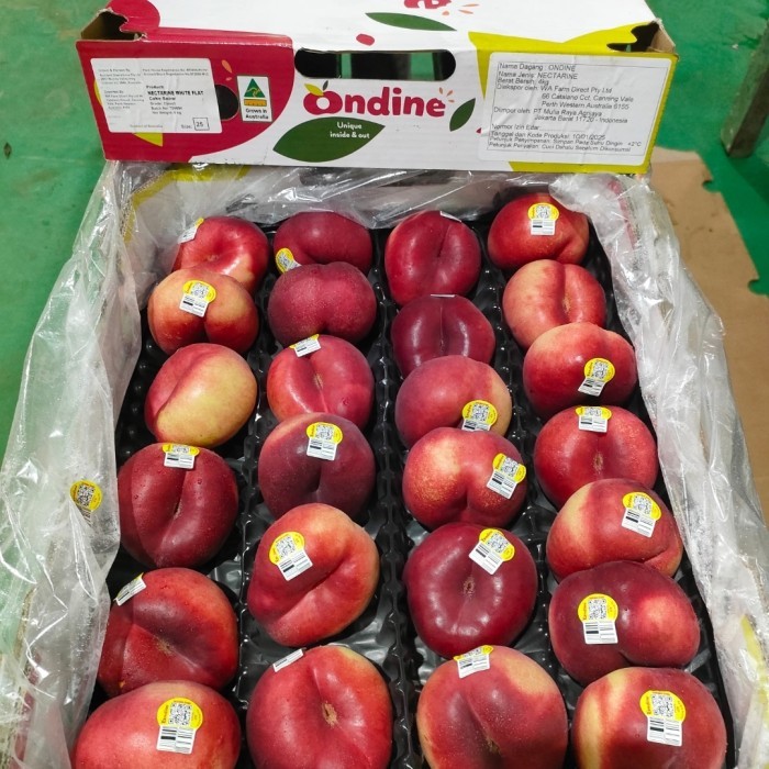 

buah peach fruits peach juicy fresh inport per l dus