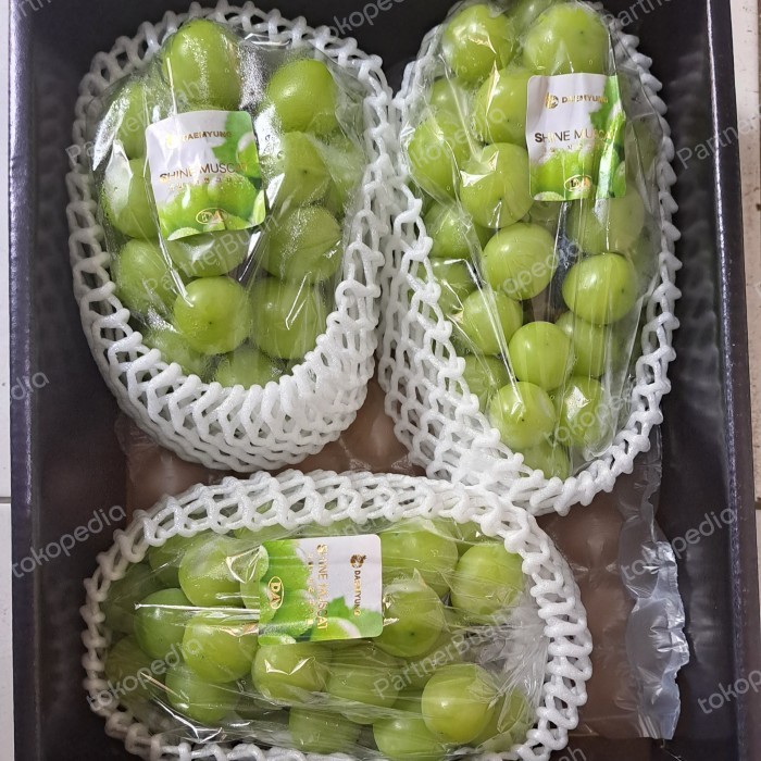 

Anggur Muscat Korea Manis Super Isi 3 Pack / Box