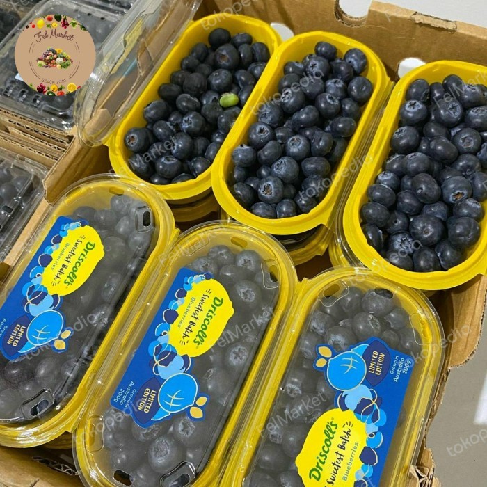 

Buah Blueberry Jumbo Australia Promo Blueberriees Fresh Pack