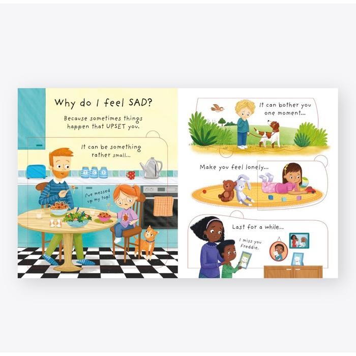 

Usborne Why do I (sometimes) Feel Sad Lift the Flap Very First Questions and Answers ted Children