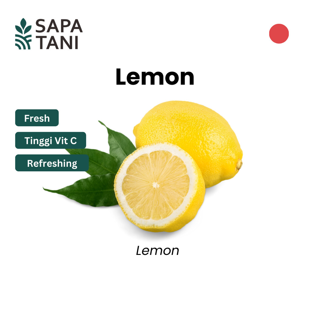 

Lemon Segar 500 gr Sapatani Buah Segar untuk Minuman dan Dressing Salad