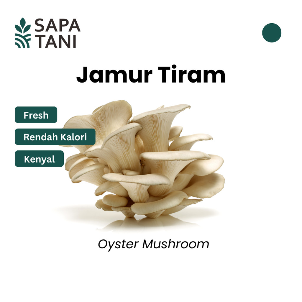 

Jamur Tiram Segar 100 gr Sapatani Jamur Lembut untuk Tumisan dan Goreng Tepung