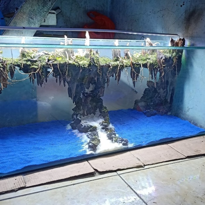 TERMURAH aquarium aquascape full set/ paket lengkap aquascape