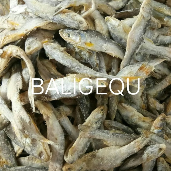

Ikan Asin Sinangin 500 gr