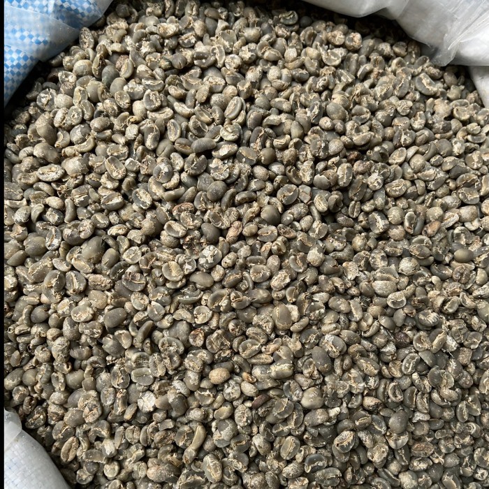 

Green Bean 1Kg Mandheling Semi Wash - Biji Kopi Sumatra Arabika