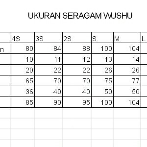 Diskon... Baju Wushu Bordir & Lambochi Tipe Rc