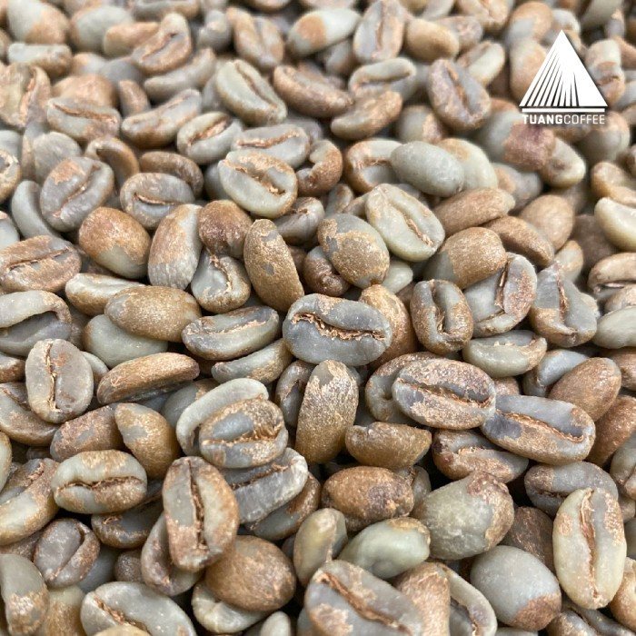 

Green Bean Arabica Washed Tuang Coffee Flores Manggarai