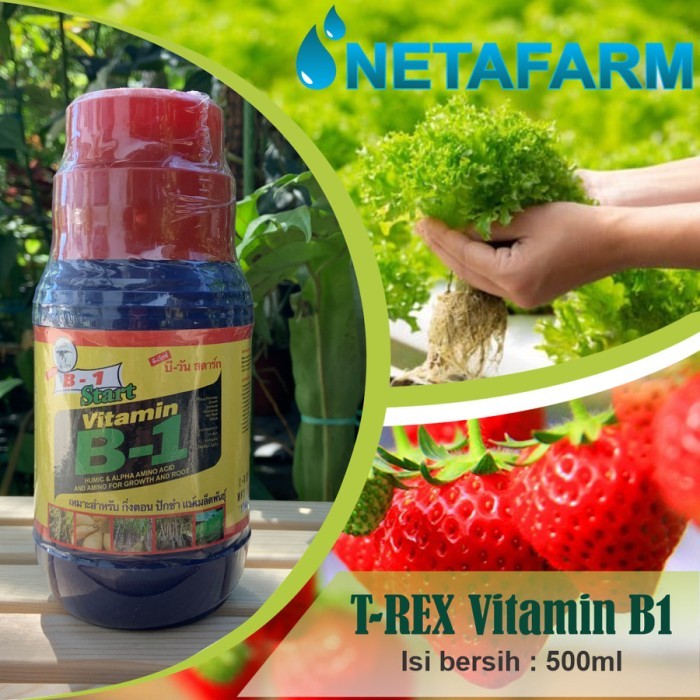 Liquinox Thailand T-rex Start B1 Original 500ml