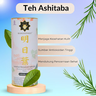 

Teh Ashitaba untuk Energi dan Vitalitas Sepanjang Hari