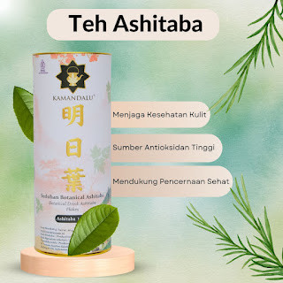 

Ashitaba Slim Tea - Membantu Menjaga Berat Badan Ideal