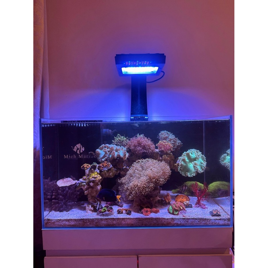 Akuarium Laut / Reef Tank Set 60cm Optic Clear