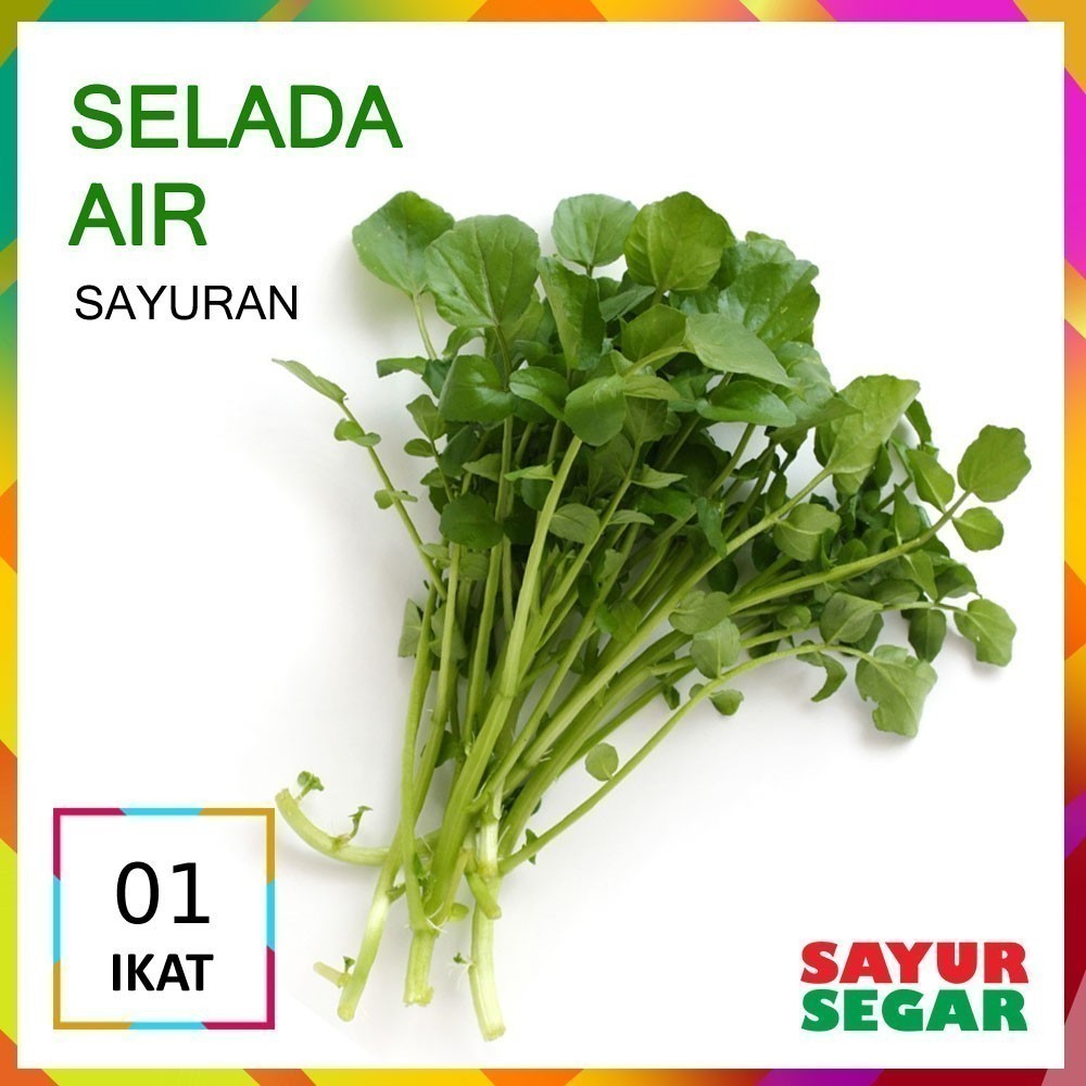 

Selada Air Sayur [1 Ikat]