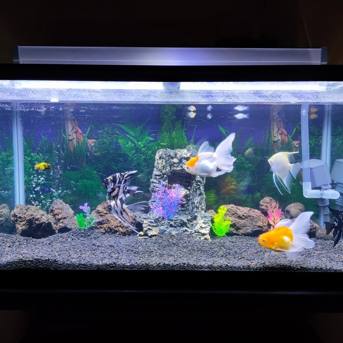 aquarium nisso bending 95x45x45
