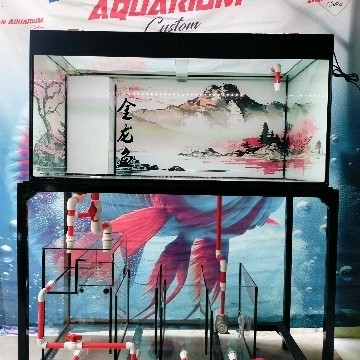aquarium 80x40x45 set filter bawah pipa ty
